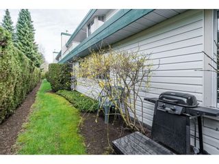 Photo 26: 50 3115 TRAFALGAR STREET in Abbotsford: Central Abbotsford Townhouse for sale : MLS®# R2668228