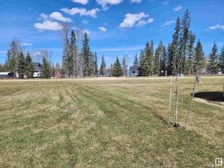 Photo 9: 257 465015 RGE RD 63 A: Rural Wetaskiwin County House for sale : MLS®# E4386018
