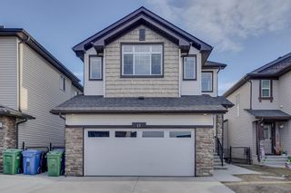 Main Photo: 17 Skyview Springs Road NE in Calgary: Skyview Ranch Detached for sale : MLS®# A2130072