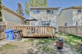 Photo 43: 47 Erin Croft Crescent SE in Calgary: Erin Woods Detached for sale : MLS®# A2048815