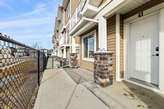Photo 38: 41 Redstone Circle NE in Calgary: Redstone Row/Townhouse for sale : MLS®# A1193464