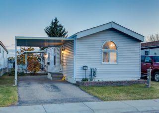 Main Photo: 29 Erin Woods Circle SE in Calgary: Erin Woods Detached for sale : MLS®# A2007771