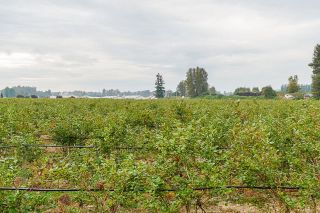 Photo 30: 6277 BELL Road in Abbotsford: Matsqui Agri-Business for sale : MLS®# C8049742