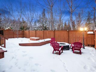 Photo 41: 163 Hawkmere Road: Chestermere Detached for sale : MLS®# A2012967