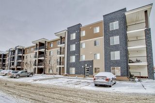 Photo 2: 303 7180 80 Avenue NE in Calgary: Saddle Ridge Apartment for sale : MLS®# A2023419