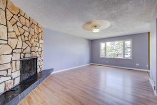 Photo 5: 146 Dovertree Place SE in Calgary: Dover Semi Detached (Half Duplex) for sale : MLS®# A2140955