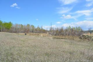 Photo 4: 17 Deer Meadows in Rural Peace No. 135, M.D. of: Rural Peace M.D. Residential Land for sale : MLS®# A2105386