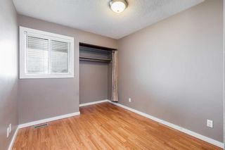 Photo 14: 34 8112 36 Avenue NW in Calgary: Bowness Row/Townhouse for sale : MLS®# A2128421