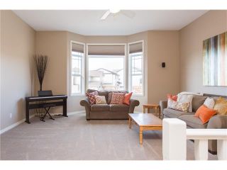 Photo 13: 78 SPRINGBOROUGH Point(e) SW in Calgary: Springbank Hill House for sale : MLS®# C4053120