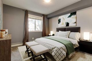 Photo 19: 1210 115 Prestwick Villas SE in Calgary: McKenzie Towne Apartment for sale : MLS®# A2125964