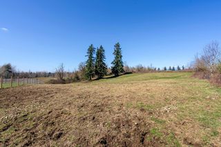Photo 36: 28445 STARR Road in Abbotsford: Bradner House for sale : MLS®# R2863112