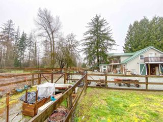 Photo 22: 13031 224 Street in Maple Ridge: West Central House for sale : MLS®# R2667301
