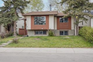 Main Photo: 84 Falconridge Place NE in Calgary: Falconridge Detached for sale : MLS®# A1219319