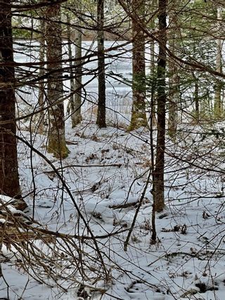Photo 10: Lot 3 Pigott Lake Road in Lakelands: 105-East Hants/Colchester West Vacant Land for sale (Halifax-Dartmouth)  : MLS®# 202302661