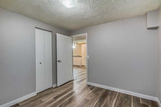 Photo 16: 3030 30A Street SE in Calgary: Dover Detached for sale : MLS®# A2081110