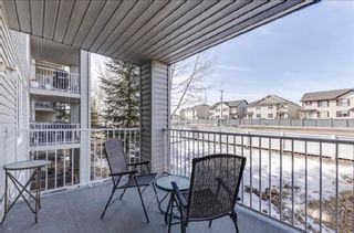 Photo 16: 1203 604 8 Street SW: Airdrie Apartment for sale : MLS®# A1193853