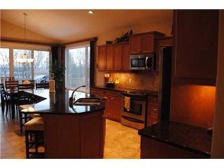 Photo 10: 201 AUBURN GLEN Manor SE in CALGARY: Auburn Bay Residential Detached Single Family for sale (Calgary)  : MLS®# C3559058