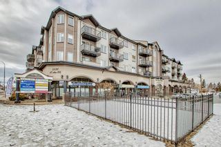 Photo 20: 204 1727 54 Street SE in Calgary: Penbrooke Meadows Apartment for sale : MLS®# A2019680