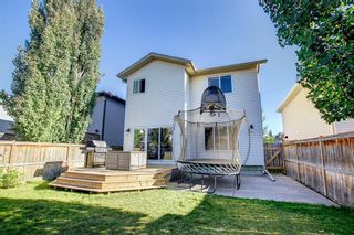 Photo 39: 110 Chapalina Terrace SE in Calgary: Chaparral Detached for sale : MLS®# A2002586