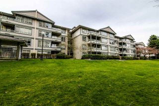 Photo 19: 310 4990 MCGEER Street in Vancouver: Collingwood VE Condo for sale in "CONNAUGHT" (Vancouver East)  : MLS®# R2351638