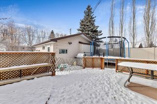 Photo 33: 359 Queen Charlotte RD SE in Calgary: Queensland RES for sale : MLS®# C4287072