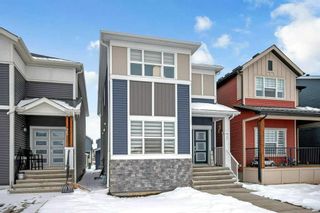 Photo 4: 79 Homestead Park NE in Calgary: C-686 Detached for sale : MLS®# A2119930