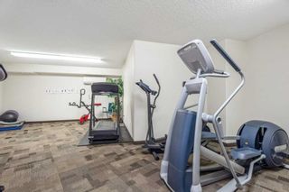 Photo 22: 3134 6818 Pinecliff Grove NE in Calgary: Pineridge Apartment for sale : MLS®# A2117871
