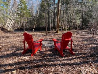 Photo 9: 576 Wallace Road in Hazel Glen: 108-Rural Pictou County Residential for sale (Northern Region)  : MLS®# 202208963