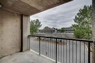 Photo 26: 211 4944 Dalton Drive NW in Calgary: Dalhousie Apartment for sale : MLS®# A1256726