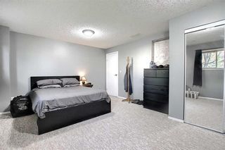 Photo 30: 16 GREENVIEW Crescent: Strathmore Detached for sale : MLS®# C4303060