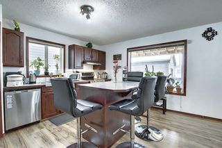 Photo 10: 47 Appleburn Close SE in Calgary: Applewood Park Detached for sale : MLS®# A1049300