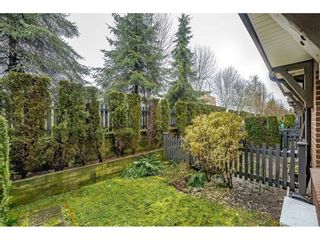 Photo 32: 23 20875 80 Avenue in Langley: Willoughby Heights Townhouse for sale : MLS®# R2664985