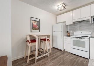 Photo 5: 203 709 3 Avenue NW in Calgary: Sunnyside Apartment for sale : MLS®# A2026042