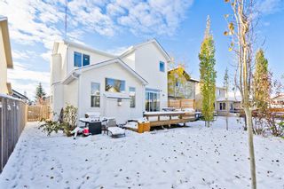 Photo 27: 223 Cougarstone Circle SW in Calgary: Cougar Ridge Detached for sale : MLS®# A1043883