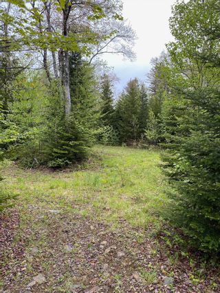 Photo 2: Lot 2 17 Mill Road Forks in Mount Uniacke: 105-East Hants/Colchester West Vacant Land for sale (Halifax-Dartmouth)  : MLS®# 202212137