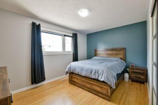 Photo 12: 171 Houde Drive in Winnipeg: St Norbert Residential for sale (1Q)  : MLS®# 202217801