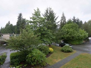 Photo 16: 1259 PLATEAU DRIVE in North Vancouver: Pemberton Heights Condo for sale : MLS®# R2495881