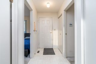 Photo 2: 1538 54 Street in Edmonton: Zone 29 House Half Duplex for sale : MLS®# E4269235