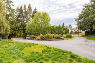 Photo 6: 18369 21A Avenue in Surrey: Hazelmere House for sale (South Surrey White Rock)  : MLS®# R2620859
