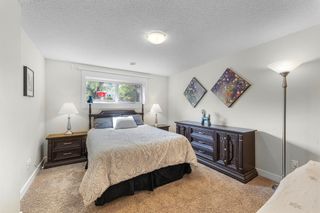 Photo 8: 228 Maunsell Close NE in Calgary: Mayland Heights Semi Detached (Half Duplex) for sale : MLS®# A2052208