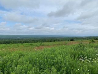 Photo 8: 587 Claremont Road in Claremont: 102S-South Of Hwy 104, Parrsboro and area Residential for sale (Northern Region)  : MLS®# 202116968