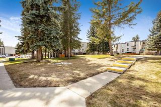 Photo 21: 318 13104 Elbow Drive SW in Calgary: Canyon Meadows Row/Townhouse for sale : MLS®# A2123663