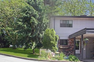 Photo 20: 12153 FABER Crescent in Maple Ridge: Northwest Maple Ridge Townhouse for sale in "WOODLAND PARK" : MLS®# R2703449