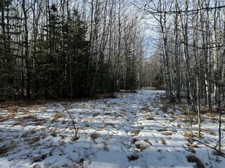 Photo 24: 370061 264 Street W: Rural Foothills County Residential Land for sale : MLS®# A2094120