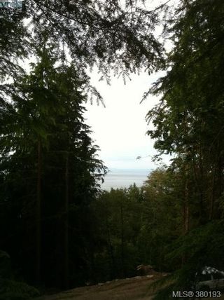 Photo 38: 424 East Point Rd in SATURNA: GI Saturna Island Land for sale (Gulf Islands)  : MLS®# 763755