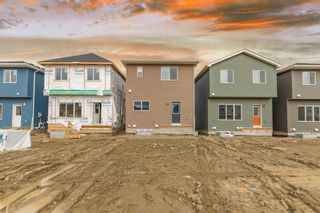 Photo 32: 743 Bayview Hill SW: Airdrie Detached for sale : MLS®# A2130536