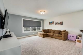 Photo 20: 170 Canals Close SW: Airdrie Detached for sale : MLS®# A2066684
