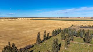 Photo 19: 600 Clover Way: Carstairs Residential Land for sale : MLS®# A2090146