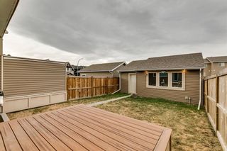 Photo 31: 150 Auburn Meadows Avenue SE in Calgary: Auburn Bay Semi Detached for sale : MLS®# A1213707