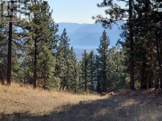 Photo 11: 1205 SPILLER Road in Penticton: Vacant Land for sale : MLS®# 10302477